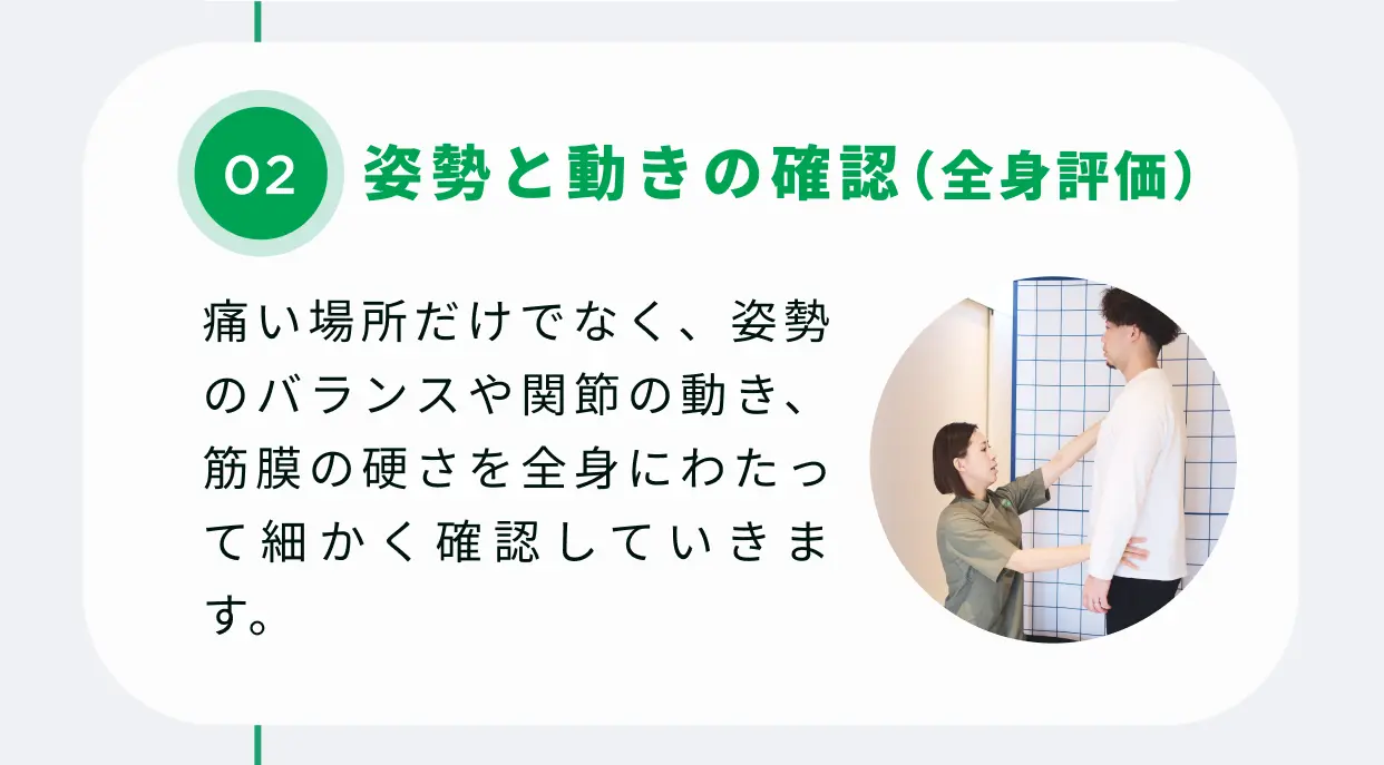 02 姿勢と動きの確認（全身評価） 痛い場所だけでなく、姿勢のバランスや関節の動き、筋膜の硬さを全身にわたって細かく確認していきます。